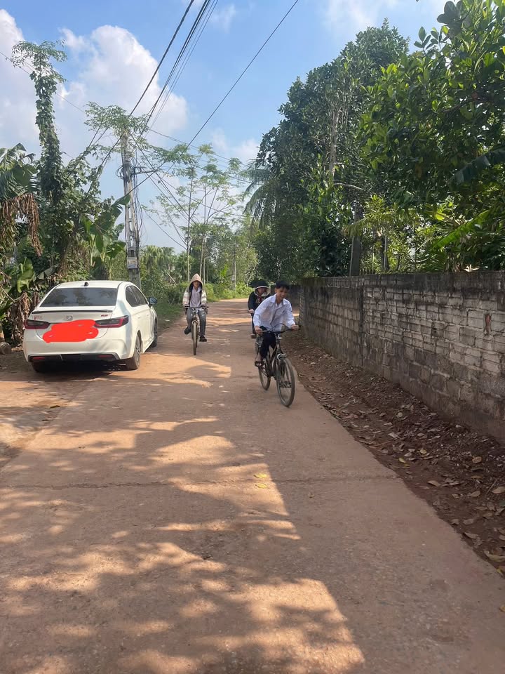 Đất nền Dân Lực, Triệu Sơn 130m² giá chỉ 600 triệu - Vị trí đắc địa ngay trung tâm!