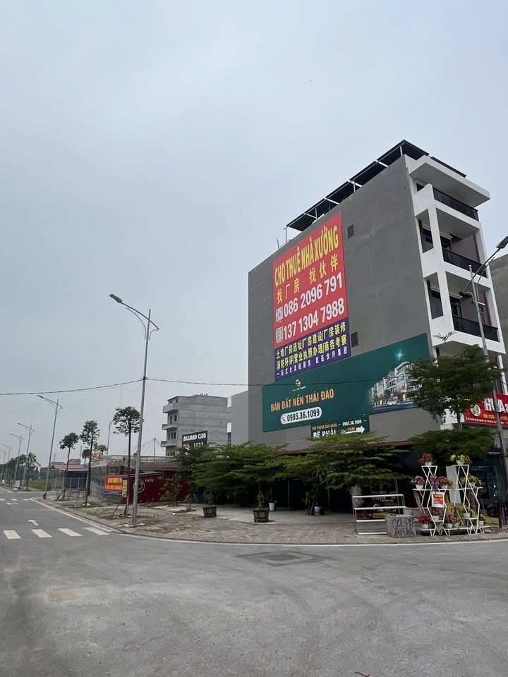 Đất dự án HUD Thái Đào Riseden 120m² giá 7 tỷ - Đầu tư sinh lời ngay!