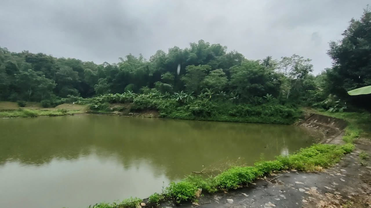 Cho thuê trang trại nhỏ 9000m² tại Mường Thanh - Thỏa thuận giá hấp dẫn!