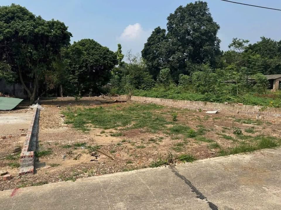 Đất nền Cẩm Lĩnh, Ba Vì 262m² giá 1 tỷ - Tiềm năng phát triển lớn!