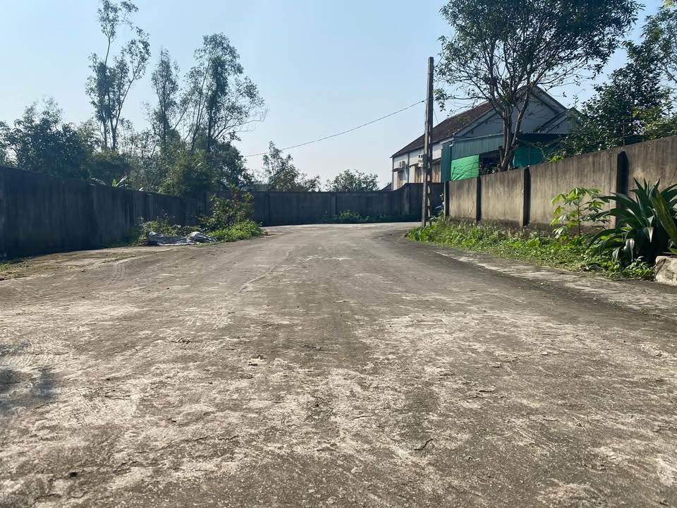 Đất thổ cư Xóm 5 Nam Giang 155m² giá 1 tỷ - Cơ hội đầu tư tuyệt vời!