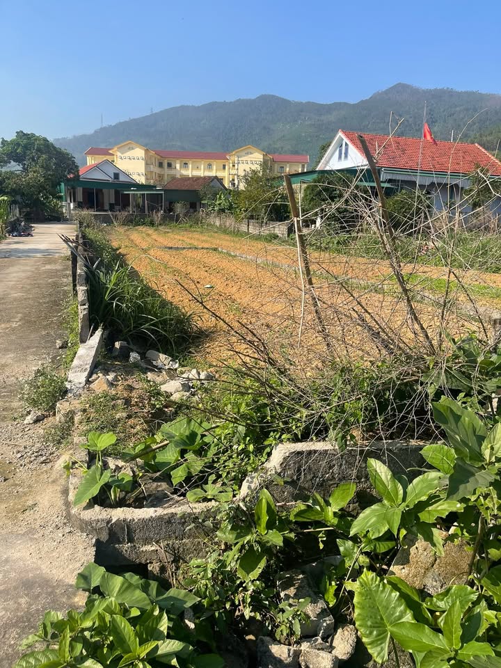 Đất nền khu phố 8, xã Nam Anh, 149m² - Đường thông thoáng, dân cư đông đúc!