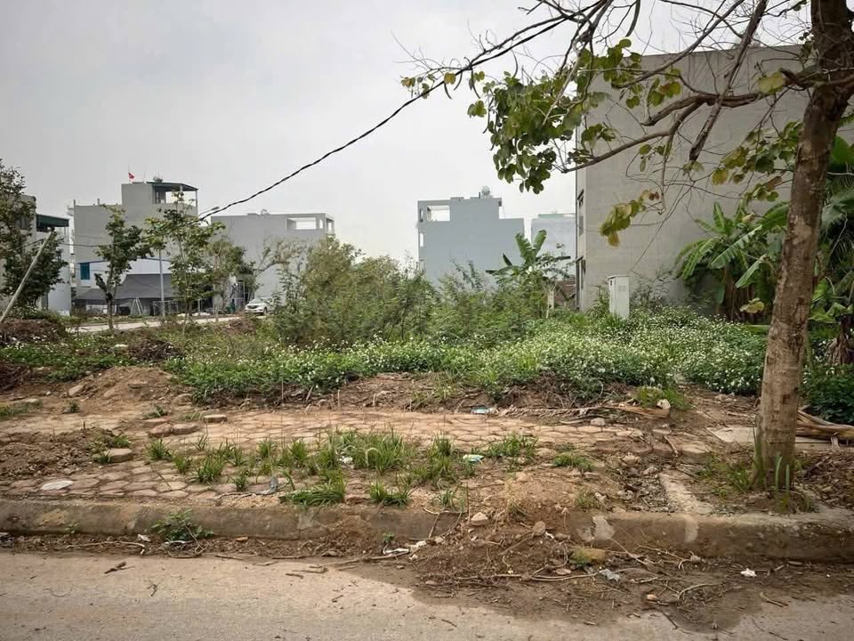 Đất nền KĐT Trường Thịnh Hải Dương 68.97m² giá 3 tỷ - Chính chủ bán gấp!