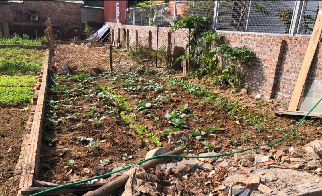 Đất nền Tiên Dược, Sóc Sơn 110m² giá 4 tỷ - Tiềm năng đầu tư lớn!