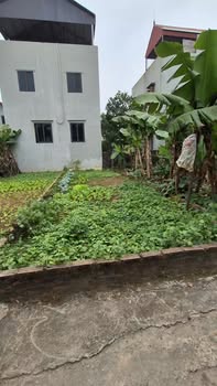 Đất nền thôn Mộc Hoàn, xã An Khánh 60,2m² - Ô tô vào tận đất, giá tốt