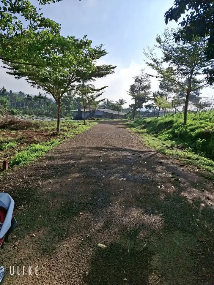 Đất thổ cư Lộc Thành 154m² giá 539 triệu - Cơ hội đầu tư tuyệt vời!