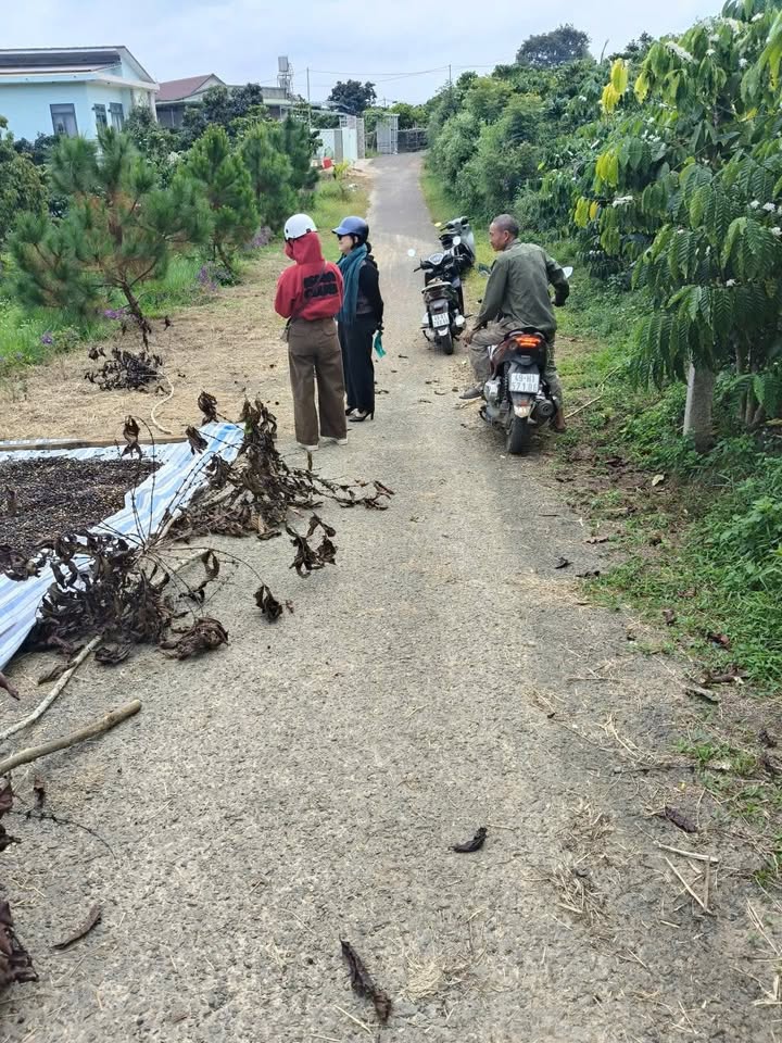 Đất nền thôn 13, xã Lộc Thành, 550m² giá 880 triệu - Đầu tư sinh lời hấp dẫn!