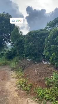 Đất nền Lộc Thành Bảo Lộc 3200m² giá 2.5 tỷ - View đỉnh Mùa Đông săn mây tuyệt đẹp!