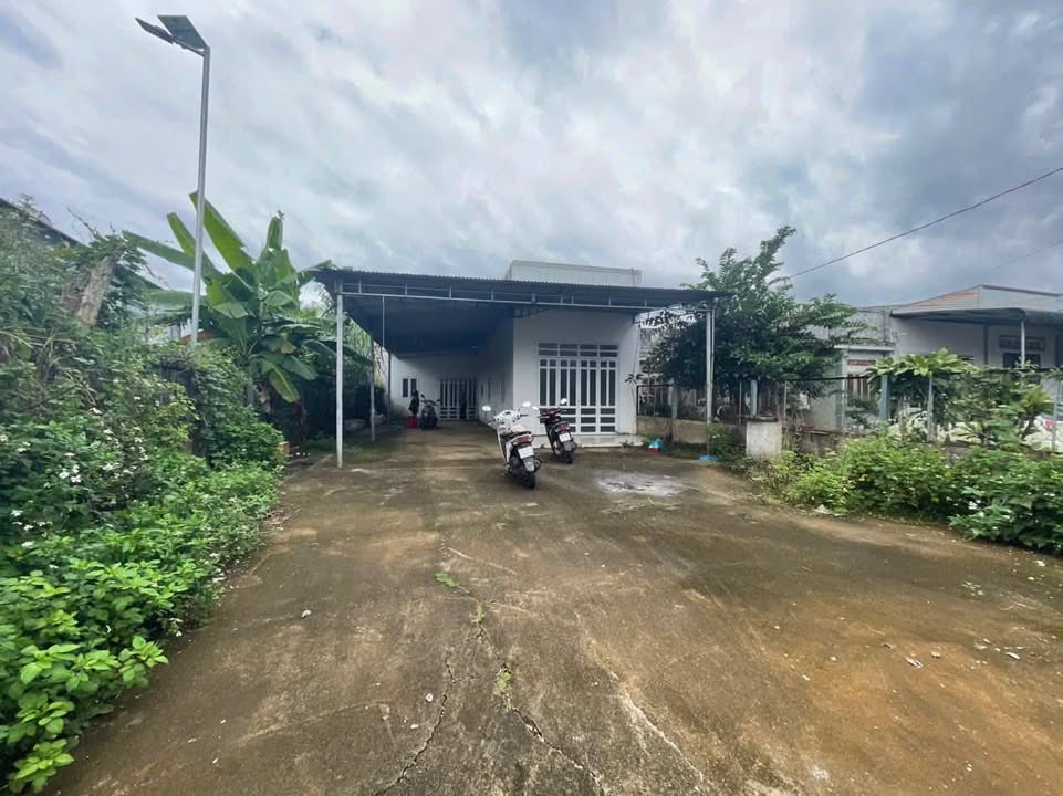 Nhà cho thuê Hẻm 88 Lữ Gia, Lộc Châu - Giá chỉ 3 triệu/tháng!