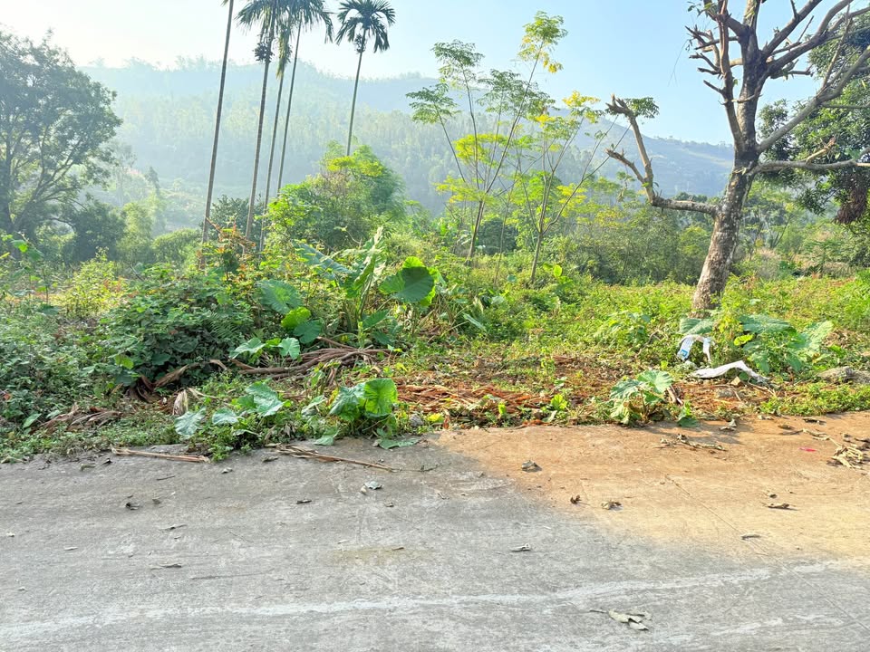 Đất nền Liên Sơn Lương Sơn Hòa Bình 2500m² giá thỏa thuận - Vị trí cao thoáng đẹp!