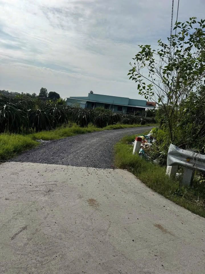 Đất nền Vĩnh Công, Châu Thành 1371m² giá 600 triệu - Đất sạch vuông vức, ô tô vào tận nơi!