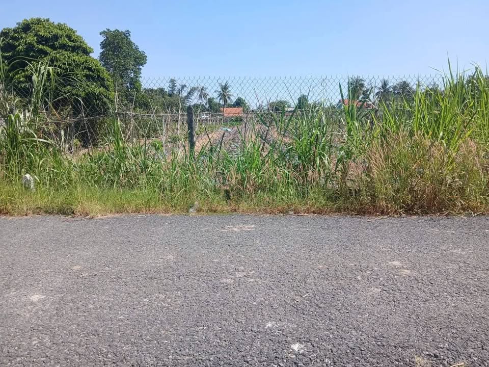 Đất Tân Hưng Tân Châu 300m² giá 450 triệu - Sổ đỏ chính chủ, thổ cư 100%!