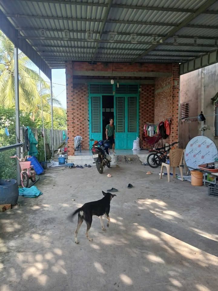 Đất thổ cư Tân Châu 4000m² giá 1.62 tỷ - Thích hợp kinh doanh và xây nhà trọ!