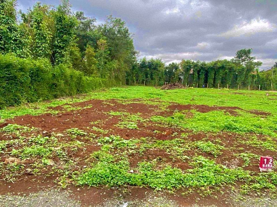 Đất nền Hòa Đông Krông Pắc 429m² giá 650 triệu - Nở hậu đẹp, pháp lý rõ ràng!