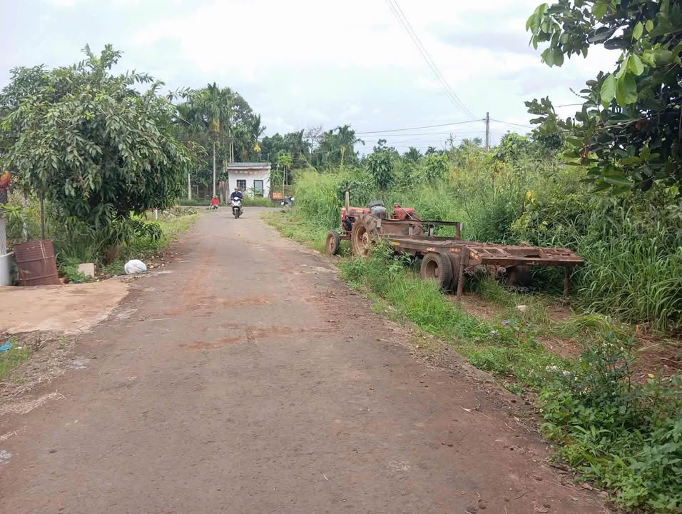 Đất nền Tân Lập, Buôn Ma Thuột 250m² giá 2.75 tỷ - Vị trí đắc địa, góc 2 mặt tiền!