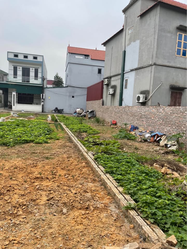 Đất nền Ninh Xá 60m² giá 1.9 tỷ - Vị trí đắc địa, tiềm năng sinh lời!