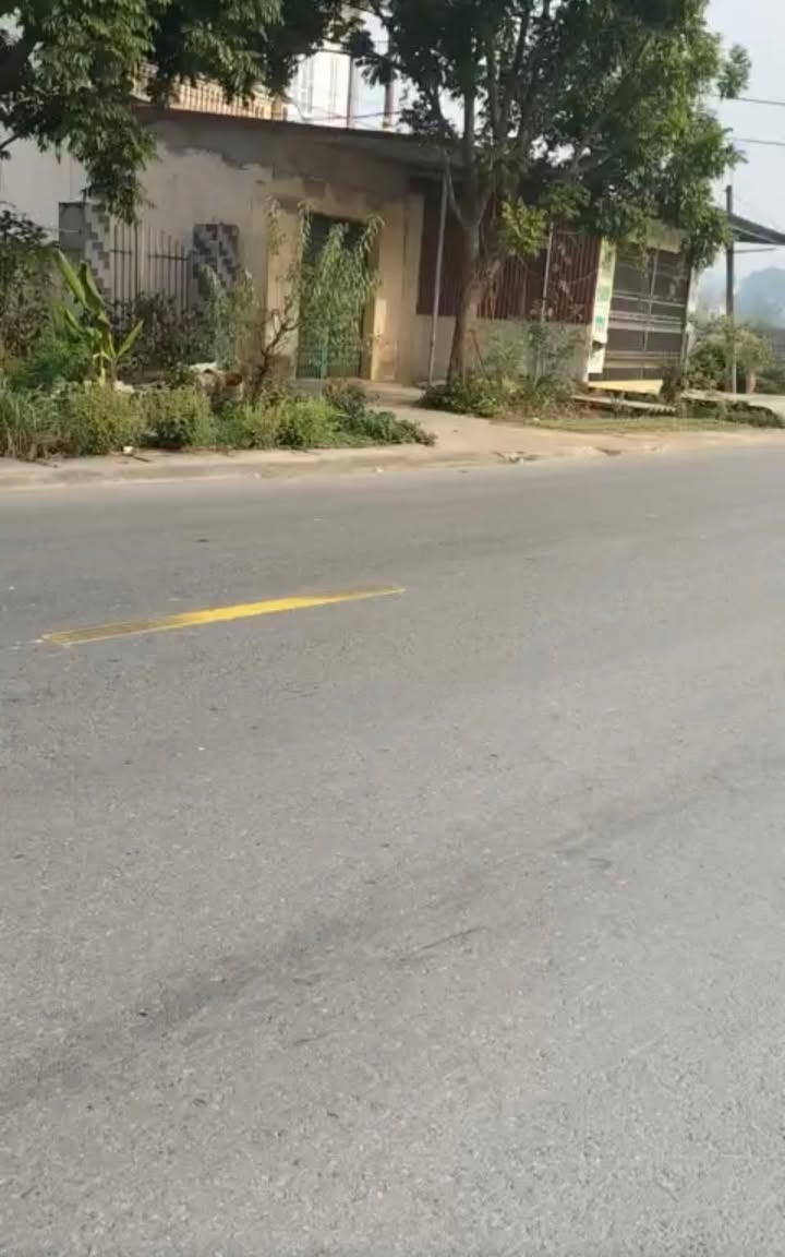 Bán đất mặt tiền Tỉnh lộ 295B – Ngọc Sơn 100m² giá 2 tỷ - Kinh doanh sầm uất!