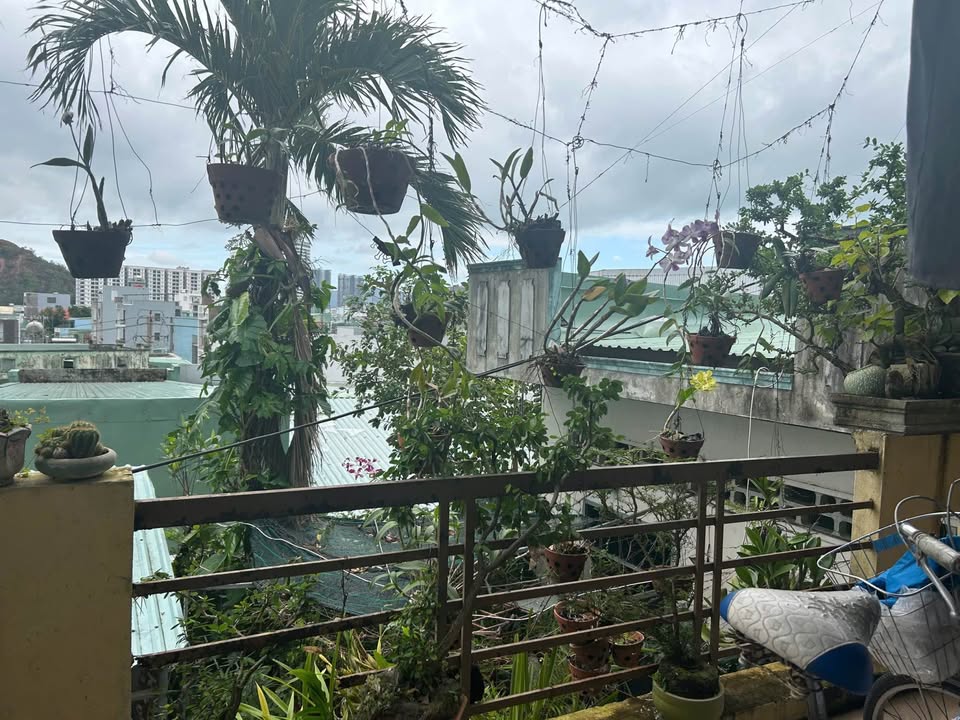 Nhà hẻm Tây Sơn, P. Quang Trung, Quy Nhơn 63.5m² chỉ 1.05 tỷ - Chính chủ bán gấp!