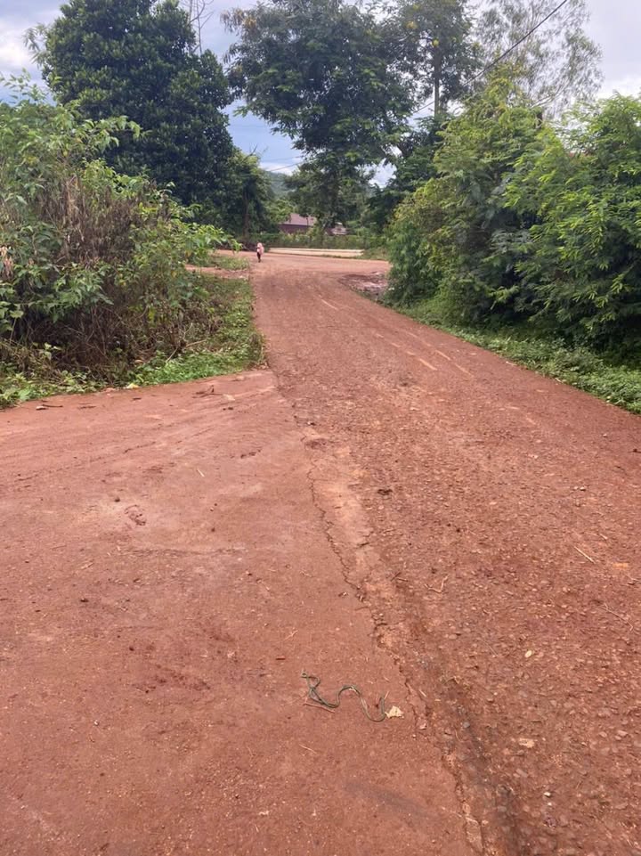 Đất thổ cư 1350m² xã Ea Sol, giá 399 triệu - Cơ hội đầu tư hấp dẫn!