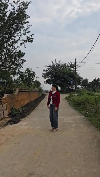 Đất nền Hạ Bằng, Thạch Thất 100m² - Gần trường Hai Bà Trưng đang xây dựng!