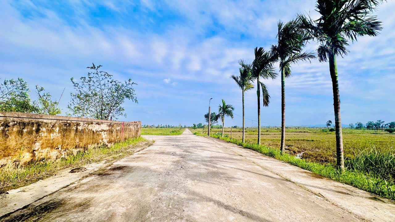 Đất nền Tân Lâm Hương 130,9m² giá 1,3 tỷ - Tiềm năng đầu tư cao!