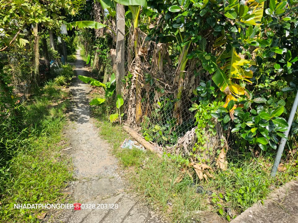 Đất Farm Chôm Chôm Thái Hòa Nghĩa 2000m² giá 1 tỷ - Cơ hội đầu tư hấp dẫn!