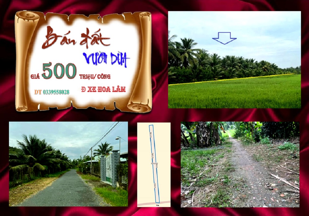 Đất An Hiệp, Châu Thành, Bến Tre 2745m² giá 1.375 tỷ - Đầu tư sinh lời ngay!