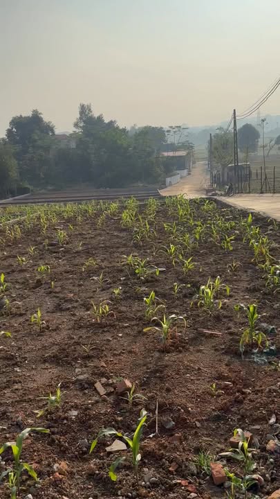 Đất Nhuận Trạch, Lương Sơn 137m² giá 1.782 tỷ - Đầu tư sinh lời cao!