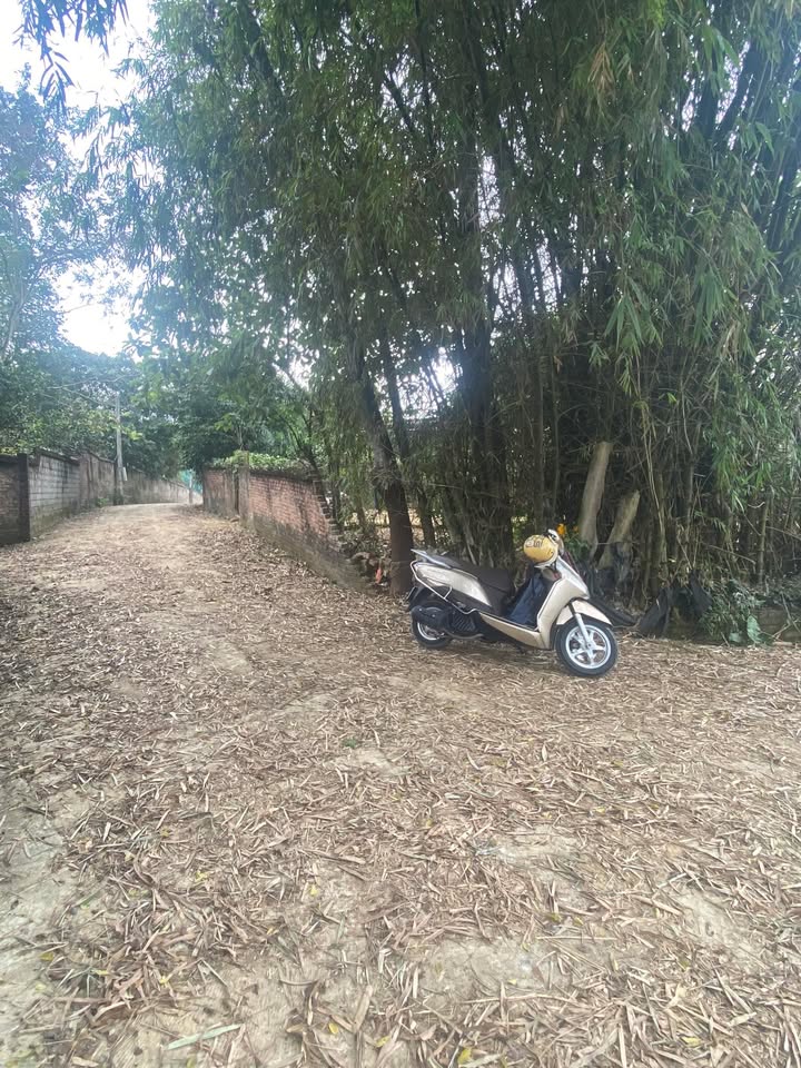 Đất thổ cư thôn Hạnh Phúc, Lương Sơn 423m² - Vị trí lô góc đẹp