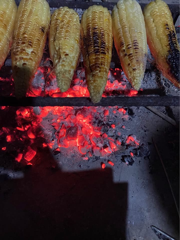 Đất thổ cư Thạch Đà Mê Linh 115m² giá chỉ 2x triệu/m² - Cơ hội đầu tư hiếm có!