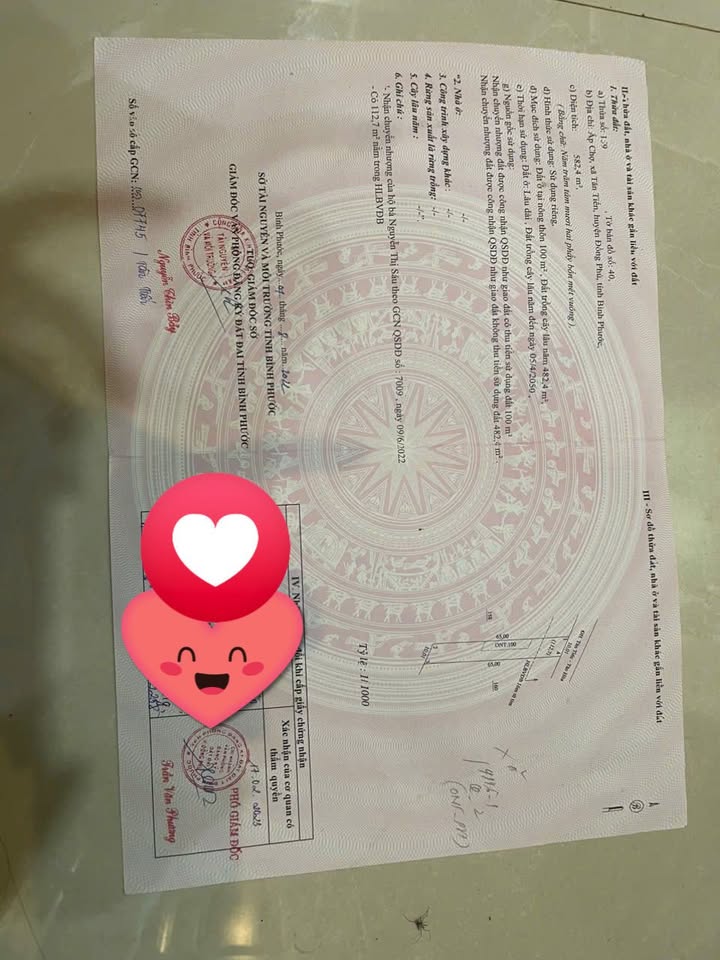 Đất nền 6500m² Tân Tiến, Đồng Phú - Mặt tiền kinh doanh sầm uất