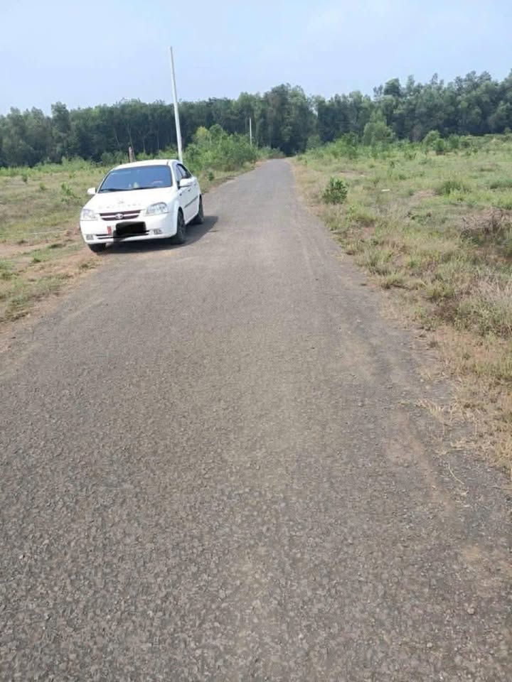 Đất thổ cư Đồng Bia, Tân Lợi, 2500m² chỉ 200 triệu - Cơ hội đầu tư tuyệt vời!