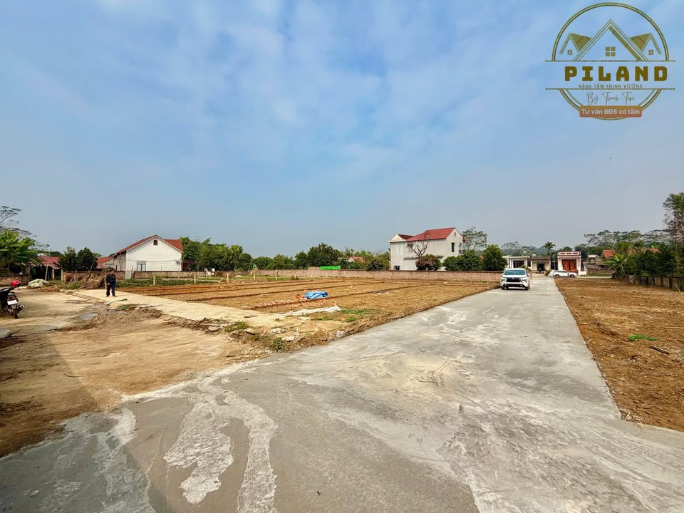 Đất liền kề Thọ Văn, Tam Nông 100m² giá 550 triệu - Đầu tư sinh lời ngay!