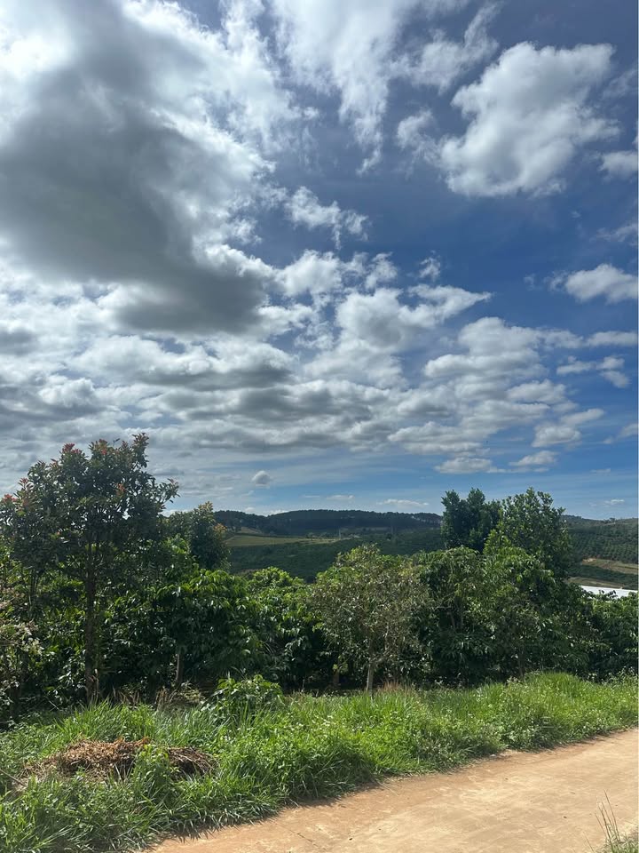 Đất Mê Linh 1458m² giá 2.6 tỷ - View thung lũng đẹp, đường ô tô