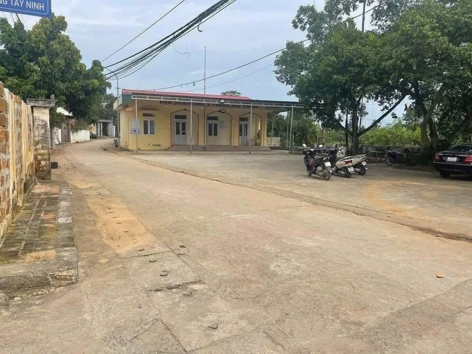 Đất nền Sơn Đông, Sơn Tây 141m² - Mặt tiền rộng, ô tô tránh nhau!