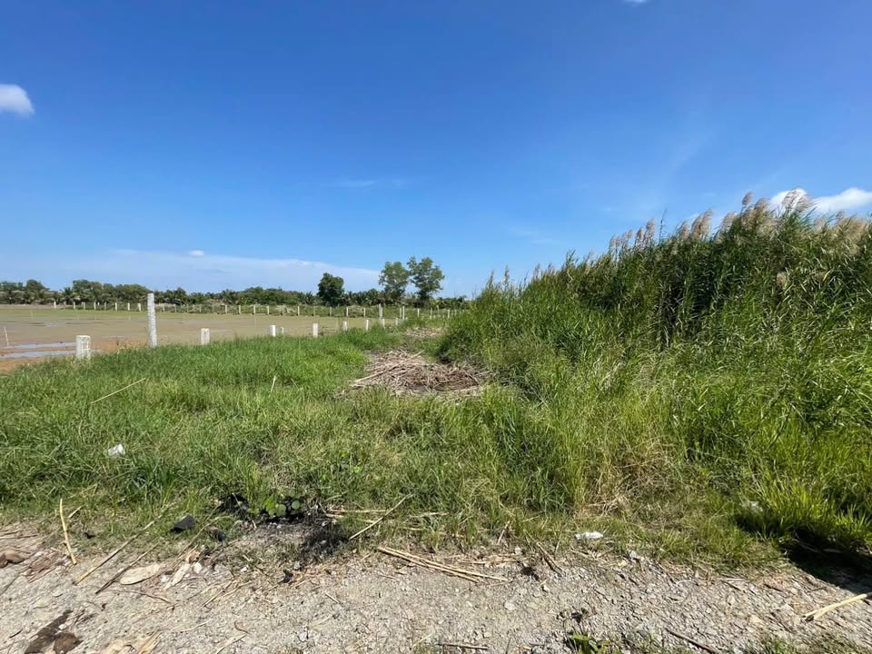 Đất nền liền kề hẻm 275 đường Quang Trung, Rạch Giá 230m² - Giá hấp dẫn chỉ từ 700 triệu!