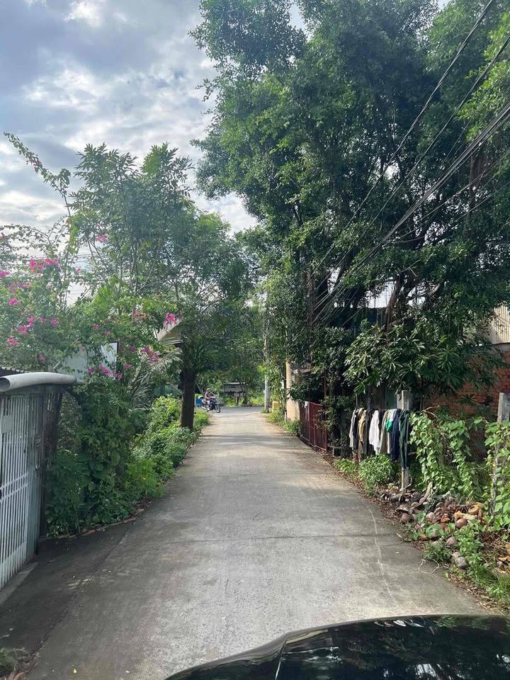 Đất nền Hưng Long, Bình Chánh 3000m² giá 6.3 tỷ - Đầu tư sinh lời ngay!