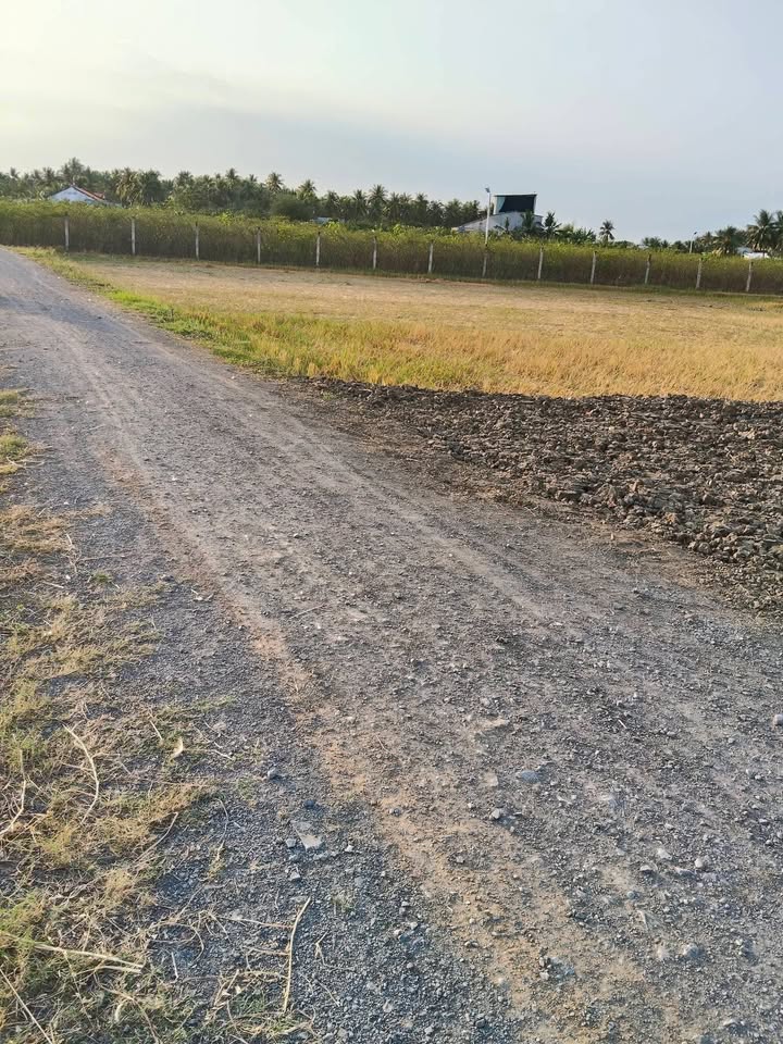 Đất nền Vĩnh Bình, Gò Công Tây 214m² giá chỉ 295 triệu - Sổ đỏ chính chủ!