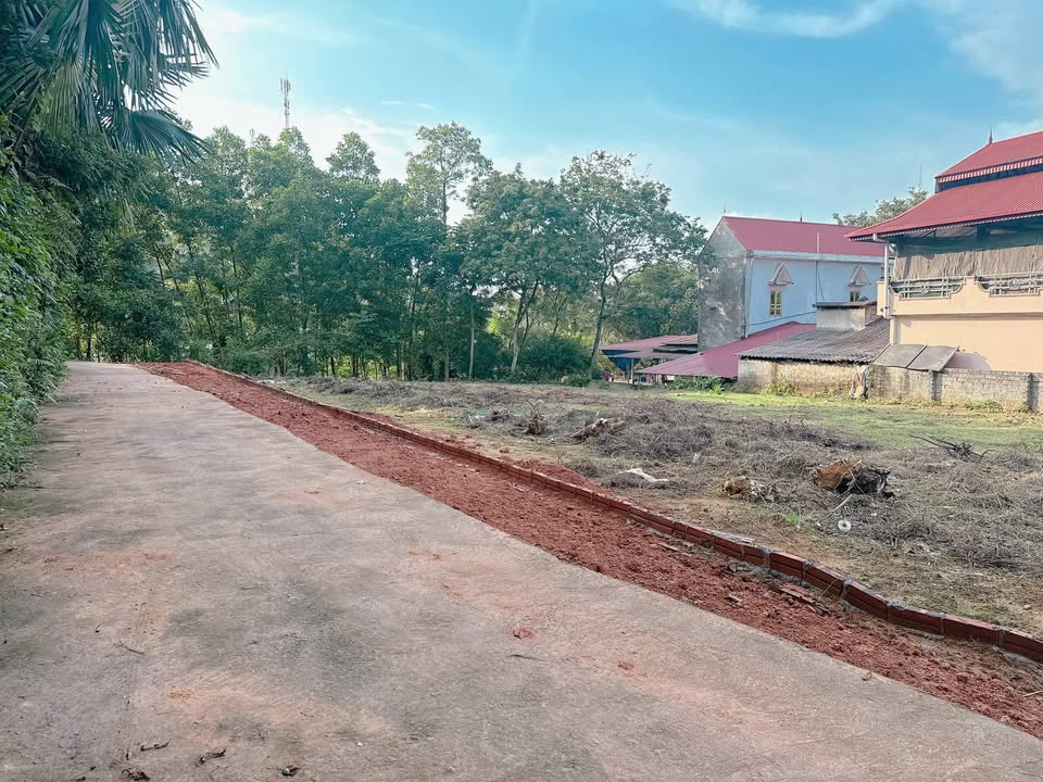 Đất thổ cư Trạm Thản Phù Ninh 184m² giá tốt - Gần chợ và quốc lộ 2!