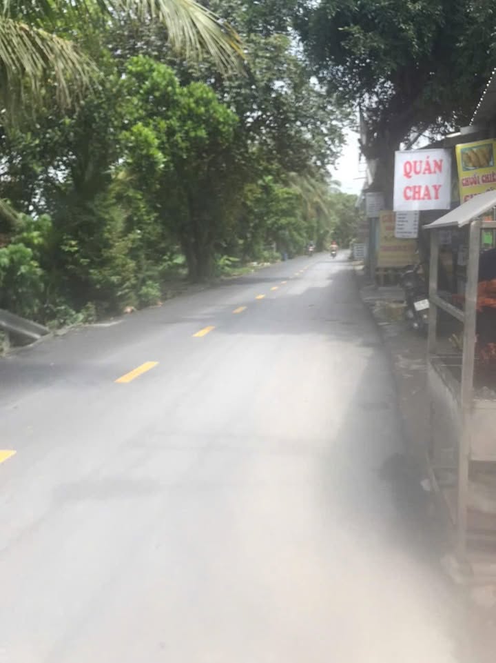 Đất trồng cây lâu năm 7000m² xã Tân Nhựt, Bình Chánh - Cần bán gấp 25 tỷ!