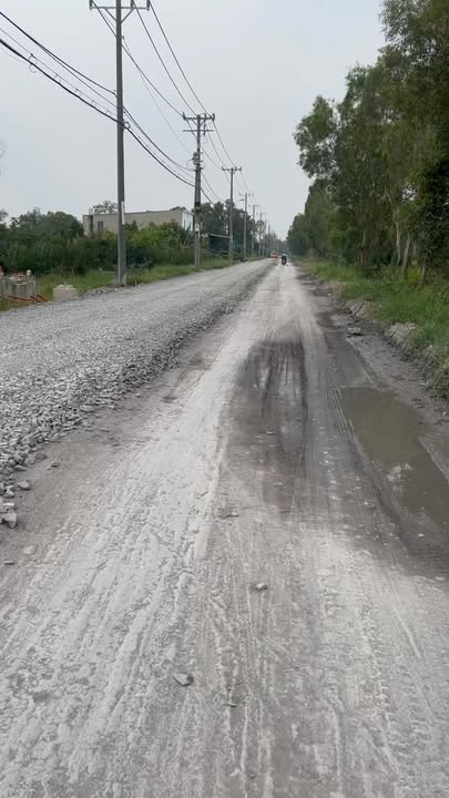 Đất thổ cư mặt tiền nhựa Bà Tỵ, xã Tân Nhựt, 3989m² giá 79.78 tỷ - Cơ hội đầu tư hấp dẫn!