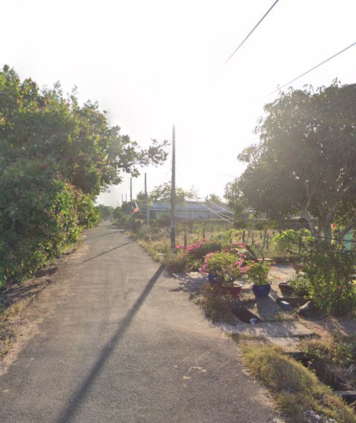 Đất Bông Trang Xuyên Mộc 495m² chỉ 160 triệu - Cơ hội đầu tư tuyệt vời!