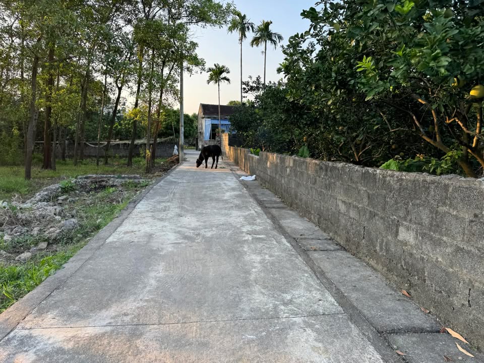 Đất thổ cư Hồng Sơn 45m² giá 800 triệu - Sổ hồng chính chủ, vị trí phong thủy tốt!