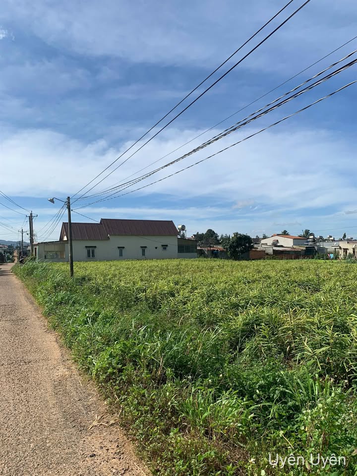 Nhà đất Đơn Dương 141m² giá 699 triệu - Ở ngay đầu tư ổn định!