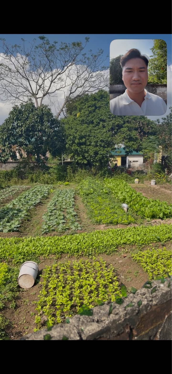 Đất nền tại thôn 11 Hải Xuân, Móng Cái - Diện tích 101m², giá chỉ 800 triệu