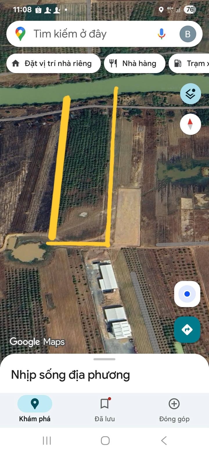 Vườn dừa 3ha tại xã Ia Rvê, Đắk Lắk giá chỉ 1.5 tỷ - Pháp lý sổ hồng đầy đủ!