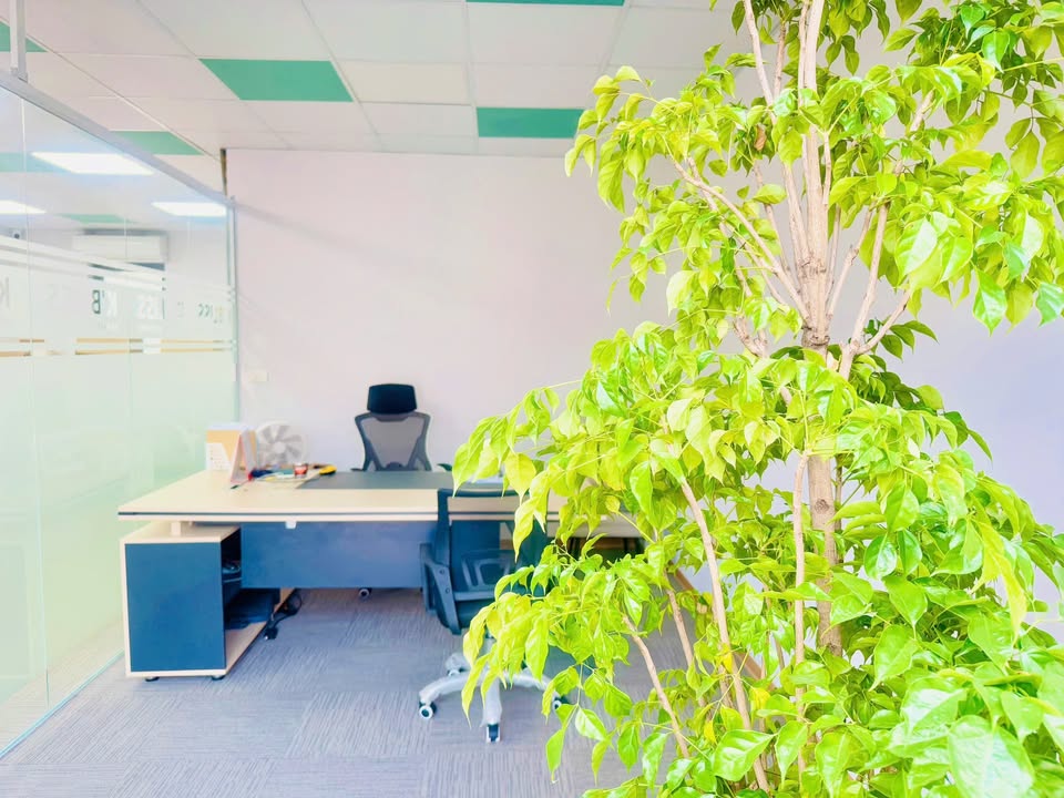 Văn phòng cho thuê 76m² Hoàng Thành Mỗ Lao - Phù hợp cho công ty nhỏ