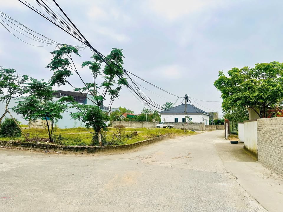 Đất Phúc Thọ Vinh 99m² giá 1 tỷ - Lô góc cực đẹp và tiềm năng!