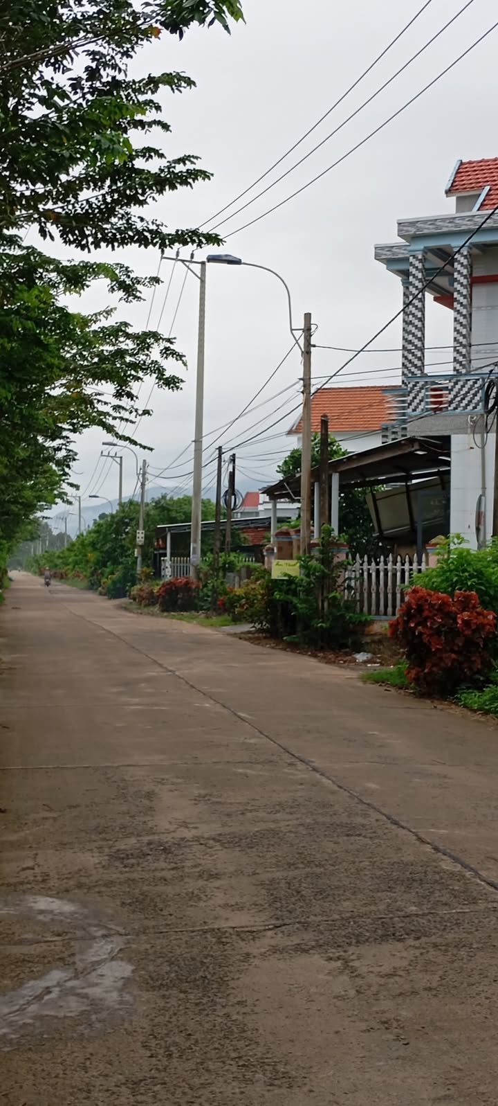 Đất thổ cư 132m² tại thôn Mỹ Phú, Hòa Mỹ Tây - Giá chỉ 500 triệu!