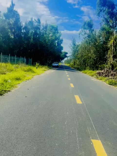 Đất mặt tiền đường An Hải, Tuy An, Phú Yên 137m² giá 1 tỷ - Cơ hội vàng cho đầu tư!